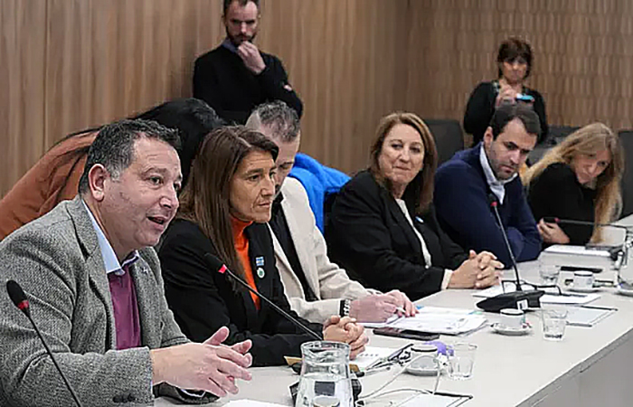 En Diputados de la Nación, las pymes pidieron una ley que los iguale frente al RIGI En Diputados de la Nación, las pymes pidieron una ley que los iguale frente al RIGI