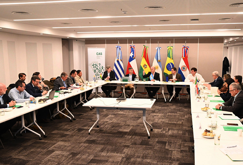 Argentina junto a países que integran el CAS piden la postergación del reglamento de deforestación de la Unión Europea Argentina junto a países que integran el CAS piden la postergación del reglamento de deforestación de la Unión Europea