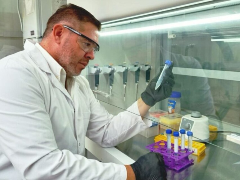 La UNSa y el CONICET trabajan en un nuevo kit de diagnóstico para salmonella La UNSa y el CONICET trabajan en un nuevo kit de diagnóstico para salmonella