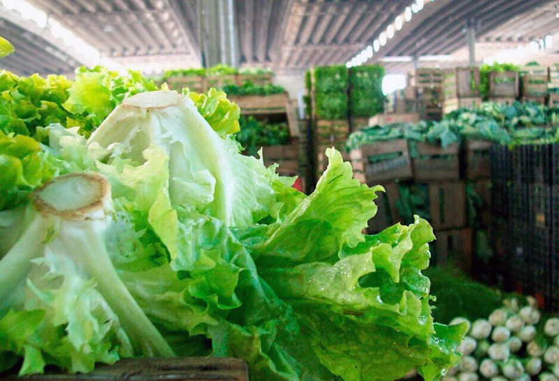 Inflación: verduras aumentaron 350% interanual en promedio y el tomate subió casi 1000% Inflación: verduras aumentaron 350% interanual en promedio y el tomate subió casi 1000%