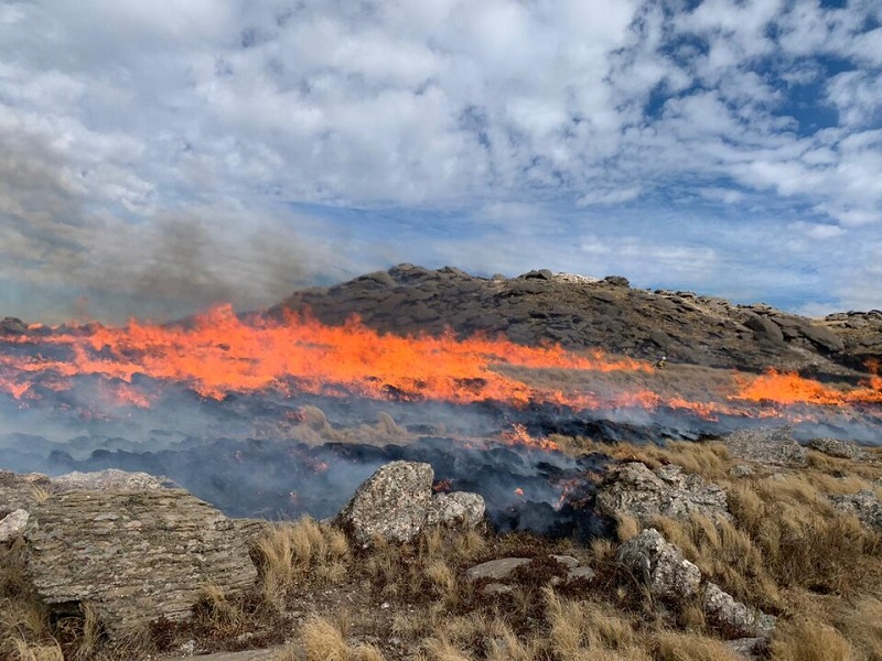 Se complica el incendio en el cerro Champaquí: 5.500 hectáreas afectadas en las sierras de Córdoba Se complica el incendio en el cerro Champaquí: 5.500 hectáreas afectadas en las sierras de Córdoba
