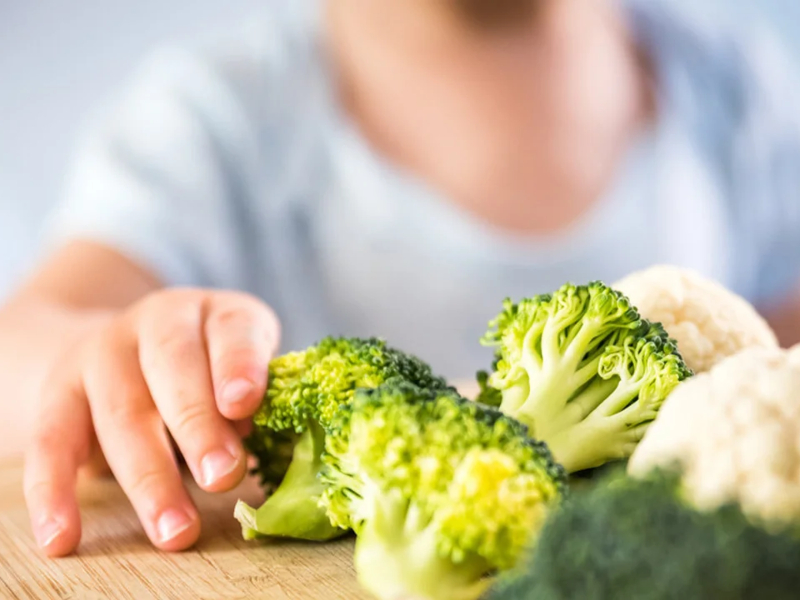 Preocupa en Argentina la nutrición durante los “segundos mil días de vida” Preocupa en Argentina la nutrición durante los “segundos mil días de vida”