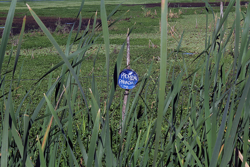 Operativo conjunto entre Municipio y Provincia contra el relleno ilegal de lagunas capitalinas Operativo conjunto entre Municipio y Provincia contra el relleno ilegal de lagunas capitalinas