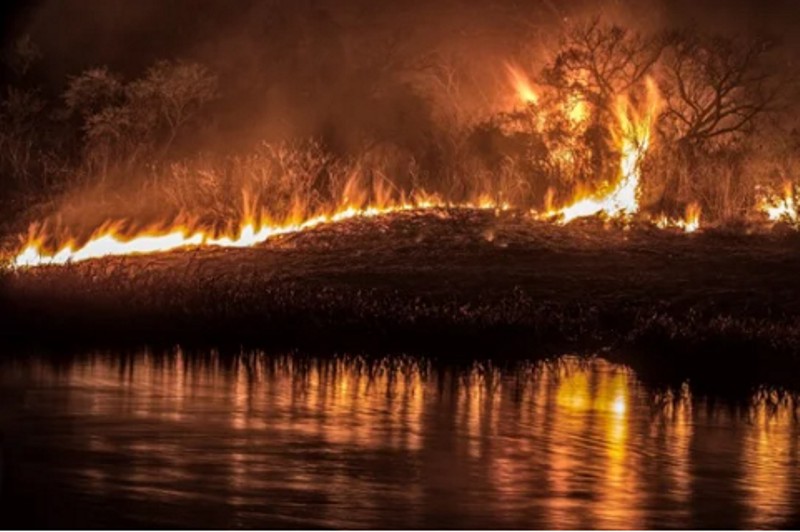 Implementan un plan de acción para combatir los incendios forestales en el Delta del Paraná Implementan un plan de acción para combatir los incendios forestales en el Delta del Paraná
