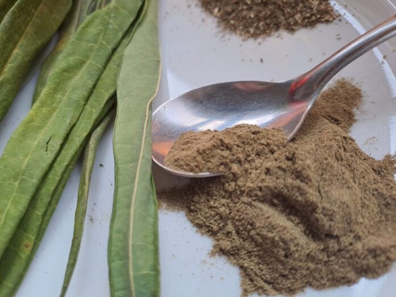 Premian propuesta de la UNNE de nuevo alimento a base de follaje de mandioca Premian propuesta de la UNNE de nuevo alimento a base de follaje de mandioca