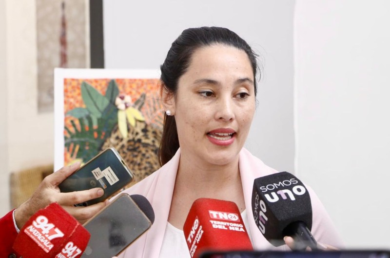 Gobierno y UNNE lanzaron curso de Administración Financiera de Gobiernos Locales Gobierno y UNNE lanzaron curso de Administración Financiera de Gobiernos Locales