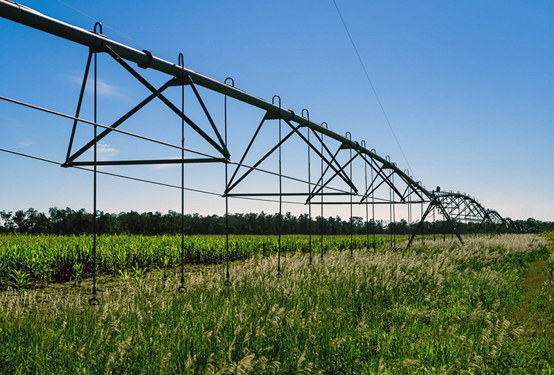 El gigante Unitec Bio del Grupo Eurnekian con fuerte arraigo en Chaco y otras provincias El gigante Unitec Bio del Grupo Eurnekian con fuerte arraigo en Chaco y otras provincias