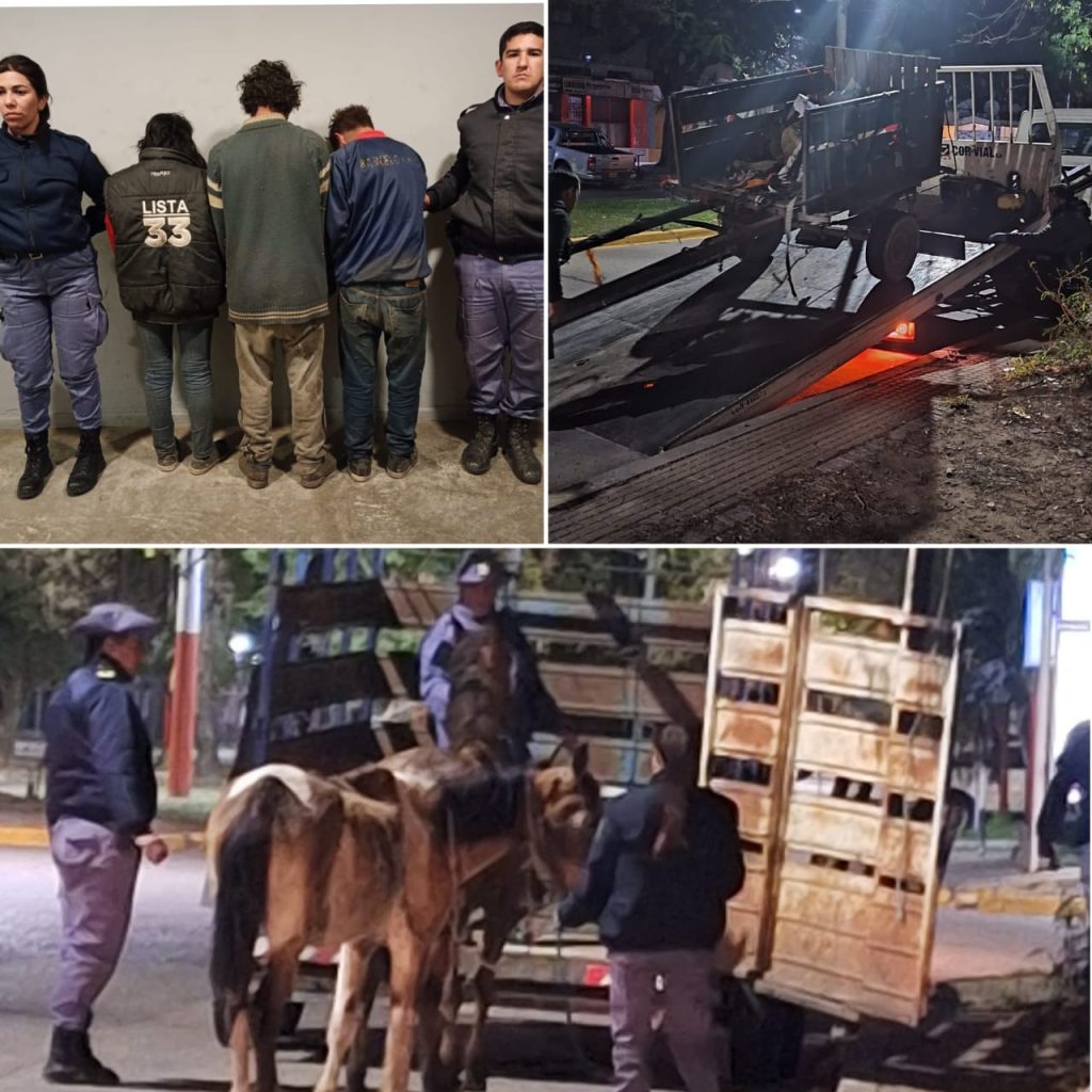 Tracción animal: secuestraron dos equinos por maltrato animal en Resistencia Tracción animal: secuestraron dos equinos por maltrato animal en Resistencia
