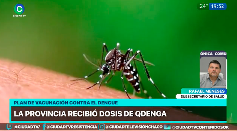 Dengue: “La vacuna es una muy buena herramienta, pero no reemplaza el combate contra el mosquito” Dengue: “La vacuna es una muy buena herramienta, pero no reemplaza el combate contra el mosquito”