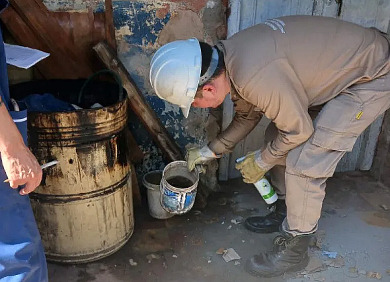 Aseguran que el 60% de las viviendas de Corrientes alojan criaderos de mosquitos Aseguran que el 60% de las viviendas de Corrientes alojan criaderos de mosquitos
