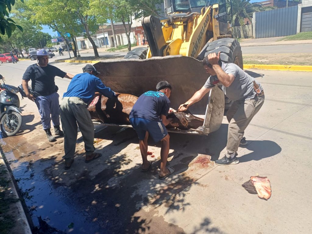Detienen en Fontana a un sujeto acusado de maltrato animal