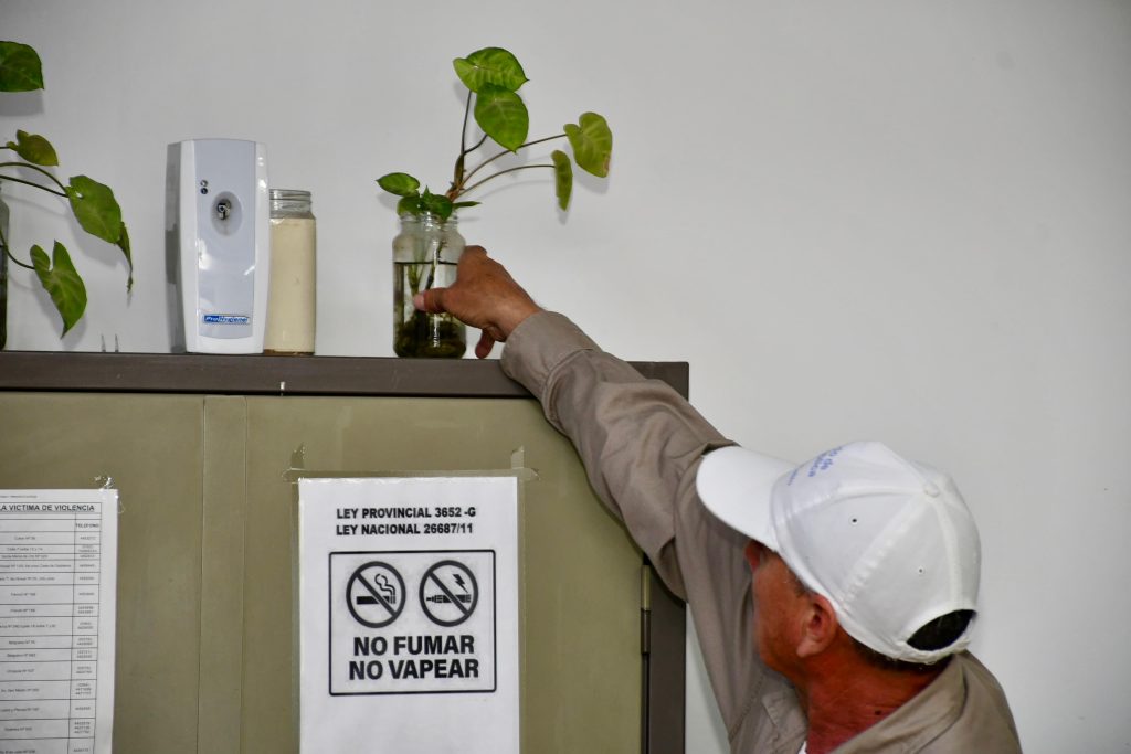 Instituciones públicas libres de mosquitos: Campaña “-Mosquitos+Salud”