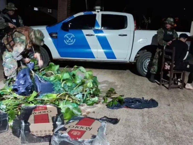 Se disfrazó de camalote para contrabandear 200 paquetes de cigarrillos Se disfrazó de camalote para contrabandear 200 paquetes de cigarrillos