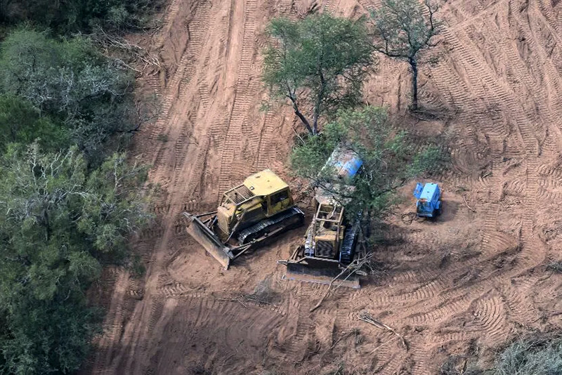 Greenpeace advirtió que continúa el avance sin freno del desmonte Greenpeace advirtió que continúa el avance sin freno del desmonte