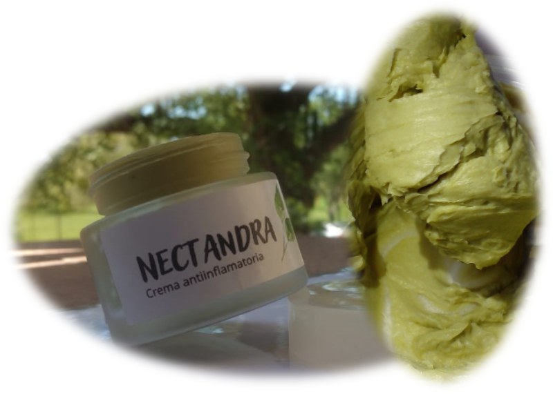 Nectandra, una crema antiinflamatoria desarrollada en la UNNE con base en la flora nativa Nectandra, una crema antiinflamatoria desarrollada en la UNNE con base en la flora nativa