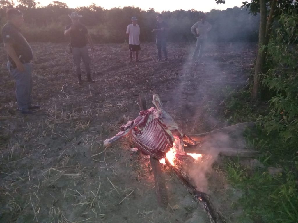 Transportaba más de 60 kilos de carne no apta para consumo