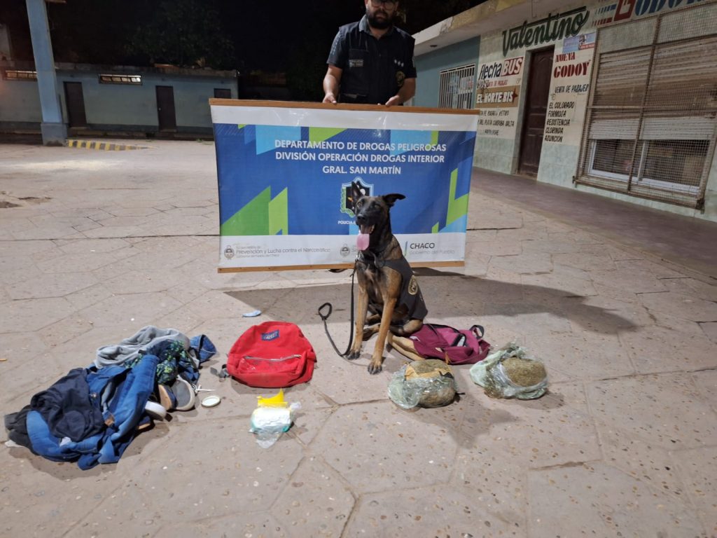 El olfato de “Lara” no falló: detectó casi medio kilo de cocaína y más de dos kilos de marihuana