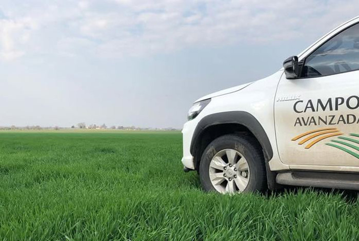 Otro default más: Campo de Avanzada avisó que no podrá abonar la última cuota de una Obligación Negociable Otro default más: Campo de Avanzada avisó que no podrá abonar la última cuota de una Obligación Negociable