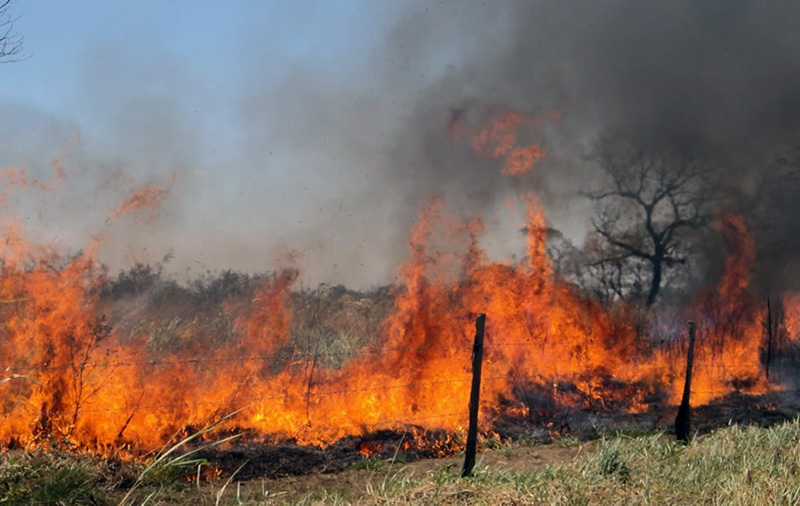 Susto en Corrientes: feroz incendio casi arrasa con una escuela en Curuzú Cuatiá Susto en Corrientes: feroz incendio casi arrasa con una escuela en Curuzú Cuatiá