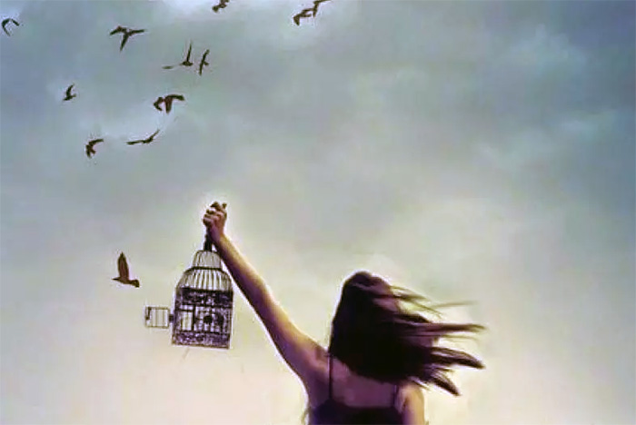 29 de abril: Día del Animal 29 de abril: Día del Animal