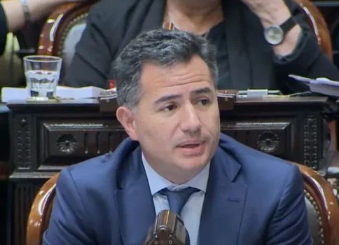 Bornoroni aseguró que La Libertad Avanza consiguió los apoyos por tema PASO: “Es muy probable que sean eliminadas” Bornoroni aseguró que La Libertad Avanza consiguió los apoyos por tema PASO: “Es muy probable que sean eliminadas”