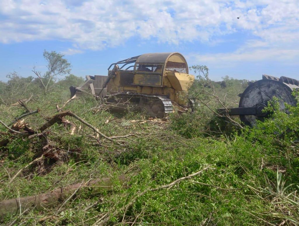 Detuvieron un desmonte ilegal en cercanías de Tres Isletas