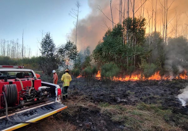 Incendios Corrientes: cuatro personas identificadas de iniciar incendios forestales Incendios Corrientes: cuatro personas identificadas de iniciar incendios forestales