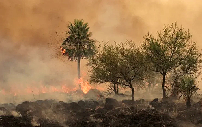 Hay riesgo extremo de incendios forestales en 10 provincias del país Hay riesgo extremo de incendios forestales en 10 provincias del país