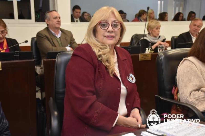 Arkwright: “Les pido a los diputados de la oposición que dejen de militar con el dolor de la gente” Arkwright: “Les pido a los diputados de la oposición que dejen de militar con el dolor de la gente”