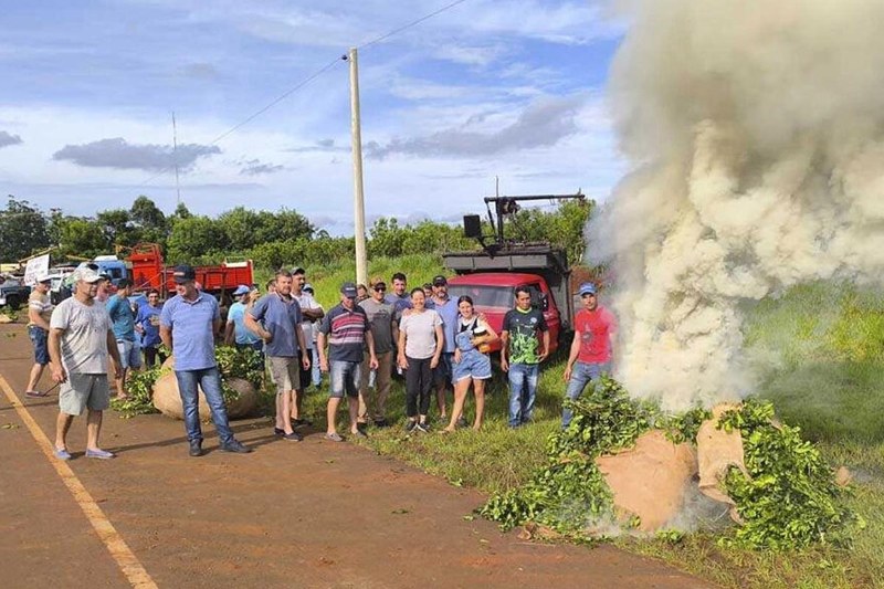 Yerbateras misioneras al borde de la desaparición por la desregulación y la importación Yerbateras misioneras al borde de la desaparición por la desregulación y la importación