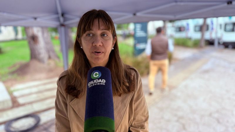 Salud advierte que sigue la baja adhesión a la vacuna contra el dengue: “No se logró el salto que esperábamos” Salud advierte que sigue la baja adhesión a la vacuna contra el dengue: “No se logró el salto que esperábamos”