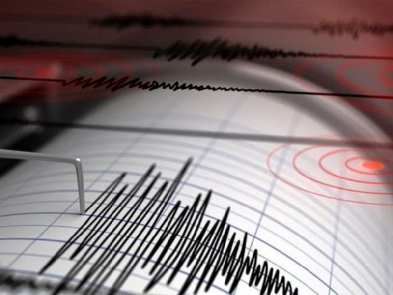 Un fuerte sismo de 7,5 grados sacudió la zona sur de Chile y rige un alerta por tsunami; hay evacuaciones en Ushuaia Un fuerte sismo de 7,5 grados sacudió la zona sur de Chile y rige un alerta por tsunami; hay evacuaciones en Ushuaia