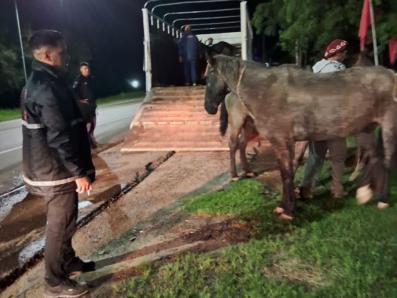 Un hombre con pedido de captura terminó detenido y recuperaron una moto robada Un hombre con pedido de captura terminó detenido y recuperaron una moto robada