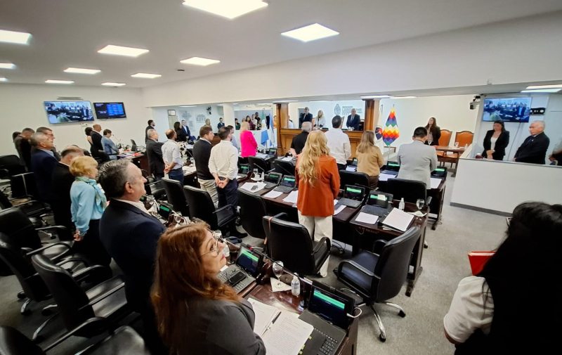 Declararon la emergencia en materia de salud mental, por el término de un año Declararon la emergencia en materia de salud mental, por el término de un año