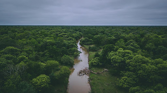 Presentan los proyectos estratégicos de la UNNE para El Impenetrable Chaqueño Presentan los proyectos estratégicos de la UNNE para El Impenetrable Chaqueño
