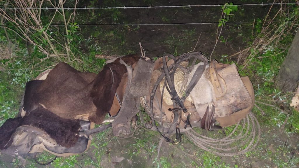 Rurales demoraron a dos hombres en el momento en que realizaban una faena clandestina