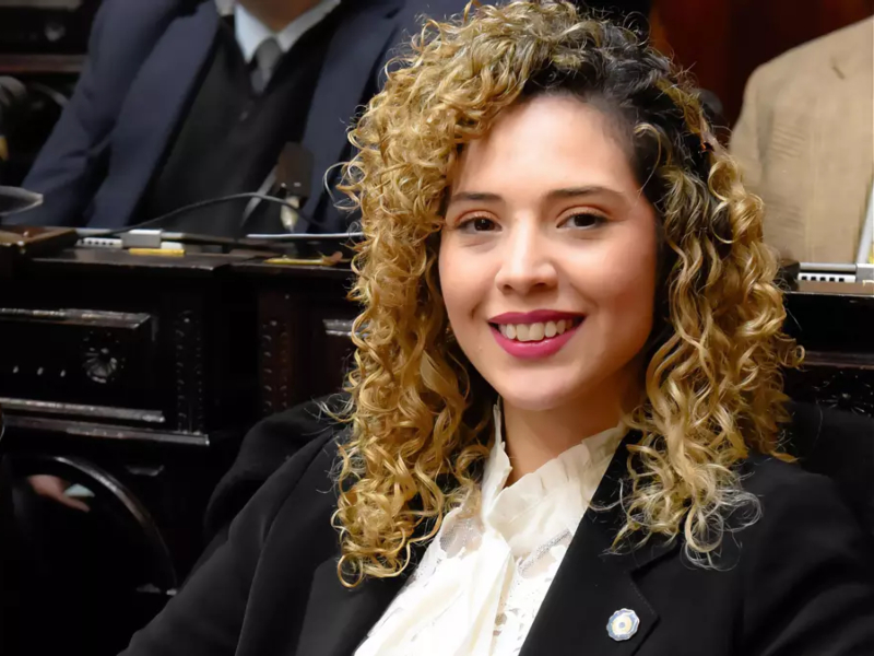 La Bicameral escuchó a Arrieta: la SIDE, Caputo y una red paralela de poder en la mira del Congreso La Bicameral escuchó a Arrieta: la SIDE, Caputo y una red paralela de poder en la mira del Congreso
