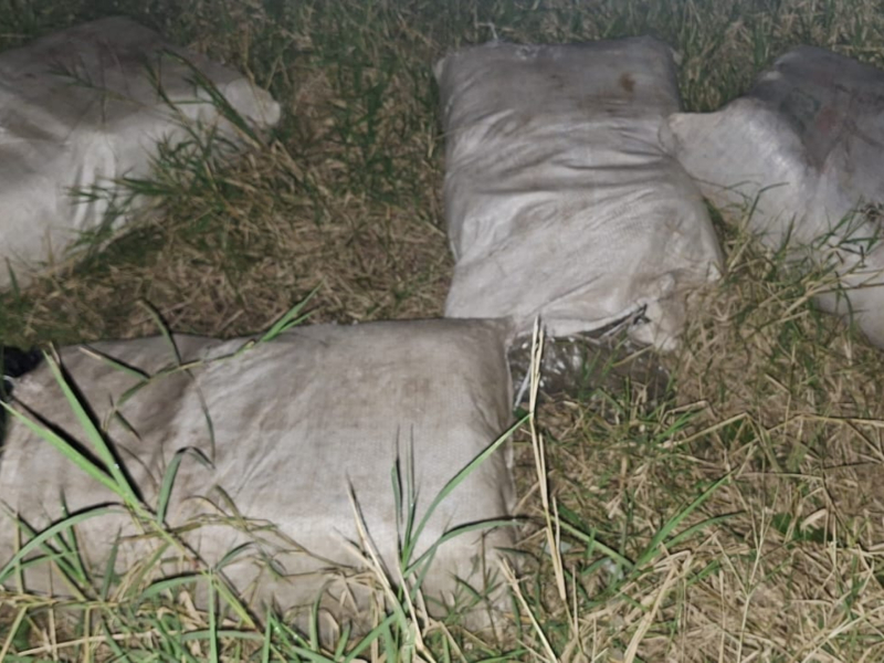 Más de 4 años de cárcel a dos hombres por transportar 130 kilos de marihuana en Chaco Más de 4 años de cárcel a dos hombres por transportar 130 kilos de marihuana en Chaco