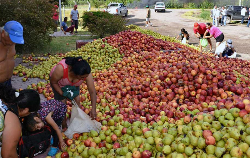 “Si no hay solución, habrá tractorazo”: dura advertencia de productores que reclaman por la actividad en crisis “Si no hay solución, habrá tractorazo”: dura advertencia de productores que reclaman por la actividad en crisis