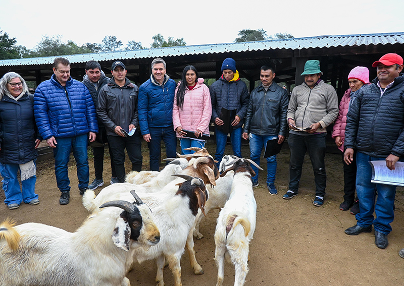 Zdero entregó reproductores caprinos para promover el desarrollo ganadero de la zona de El Sauzalito Zdero entregó reproductores caprinos para promover el desarrollo ganadero de la zona de El Sauzalito