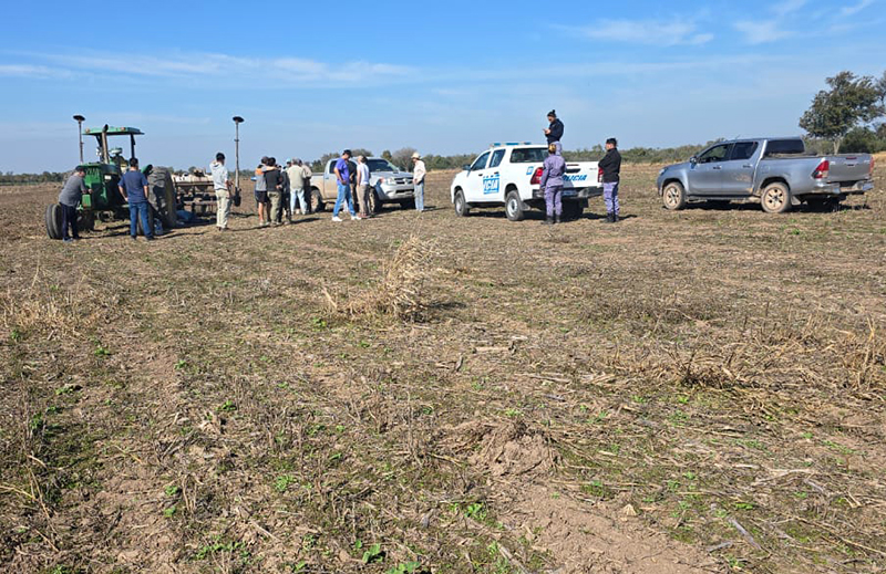 Sáenz Peña: muere una mujer al caer bajo un arado en Colonia Bajo Hondo Sáenz Peña: muere una mujer al caer bajo un arado en Colonia Bajo Hondo