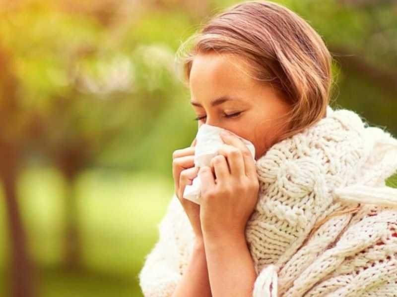 Un 20% de la población adulta sufre de alergias en Argentina Un 20% de la población adulta sufre de alergias en Argentina