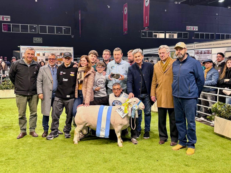 Un cordero de Gancedo es el Gran Campeón Macho de la Exposición Rural de Palermo 2025 Un cordero de Gancedo es el Gran Campeón Macho de la Exposición Rural de Palermo 2025