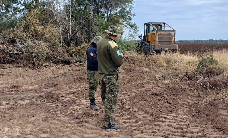 Agentes rurales y personal de Bosques detuvieron un desmonte ilegal en Charata Agentes rurales y personal de Bosques detuvieron un desmonte ilegal en Charata
