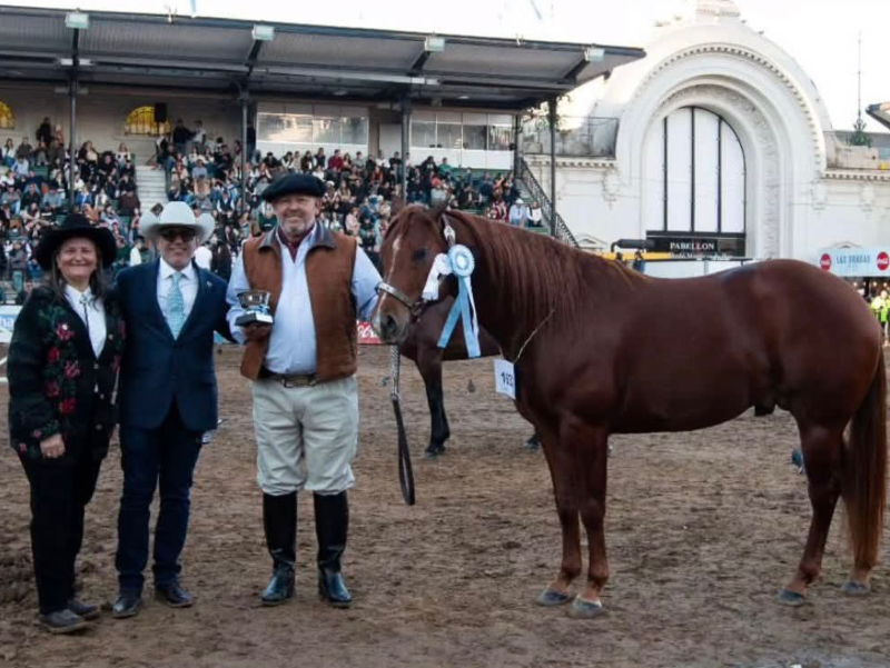Los ejemplares de raza de las cabañas chaqueñas brillaron en la Expo Rural 2025 de Palermo Los ejemplares de raza de las cabañas chaqueñas brillaron en la Expo Rural 2025 de Palermo