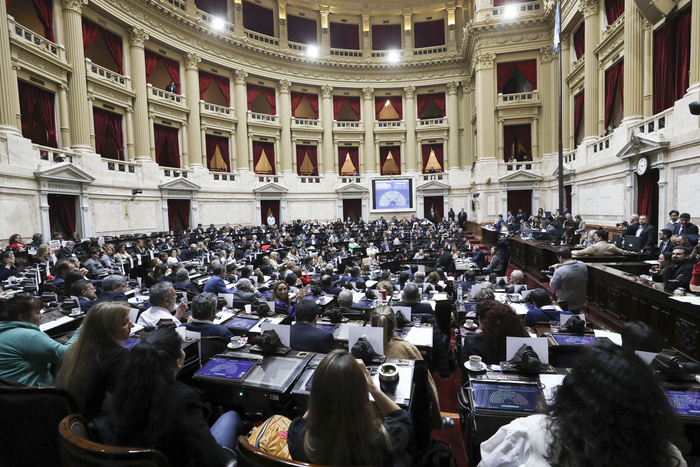 La motosierra llegó a la Cámara de Diputados: abren retiros voluntarios para los empleados La motosierra llegó a la Cámara de Diputados: abren retiros voluntarios para los empleados