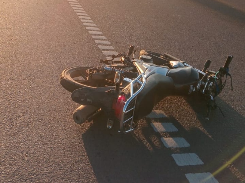 Accidente en Ruta 16: camión colisionó con un equino y una moto fue involucrada Accidente en Ruta 16: camión colisionó con un equino y una moto fue involucrada