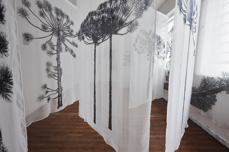 Se inaugura “Ensayos sobre el paisaje” con obras de tres importantes artistas Se inaugura “Ensayos sobre el paisaje” con obras de tres importantes artistas