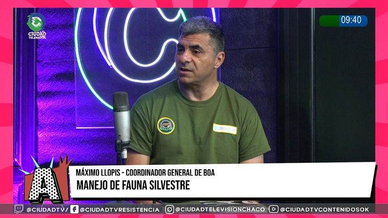 Desde la Brigada Ambiental recomiendan no interactuar con animales silvestres ni alimentarlos Desde la Brigada Ambiental recomiendan no interactuar con animales silvestres ni alimentarlos