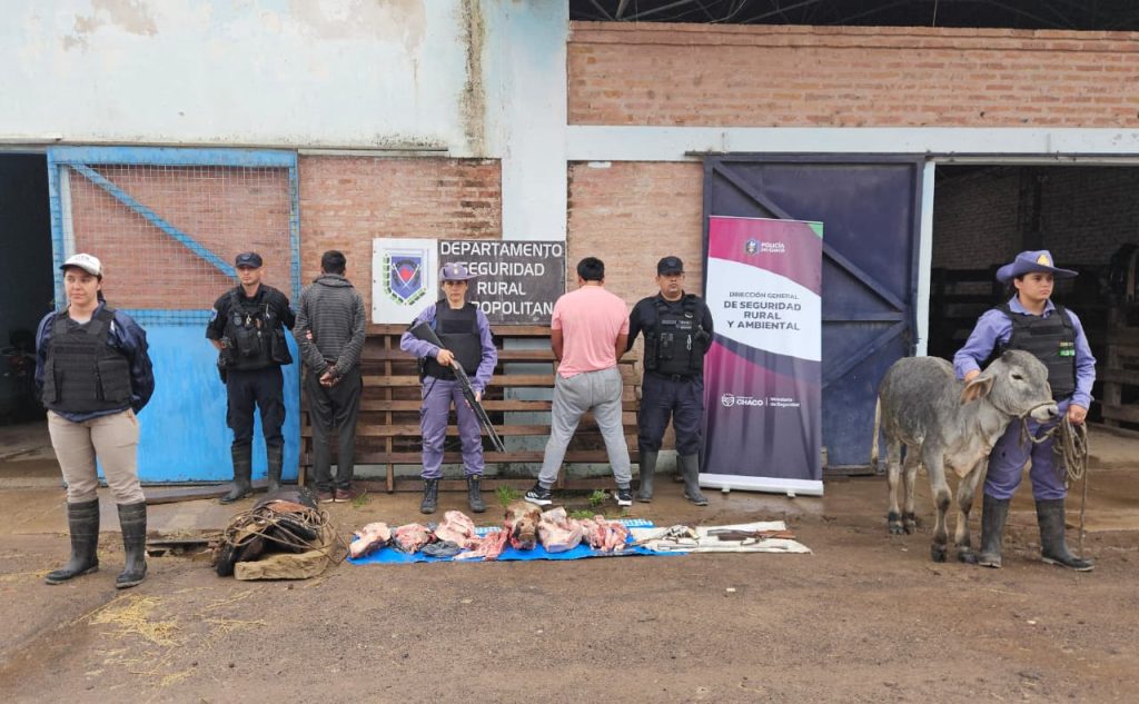 Tras allanamientos detuvieron a un hombre, secuestraron un bovino y carne faenada